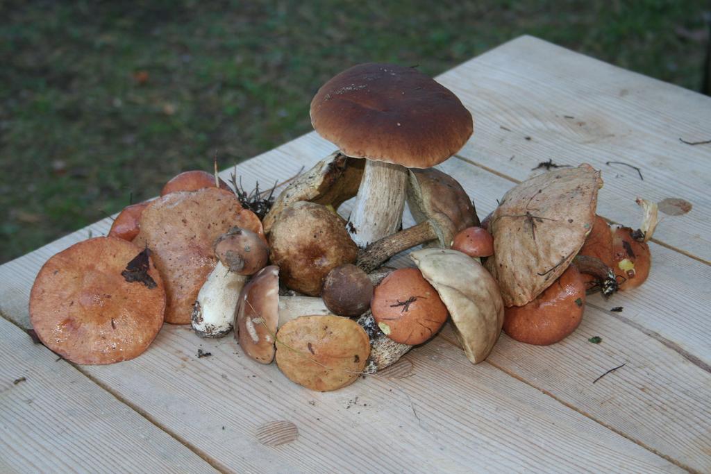 优普斯迪维塔斯公寓 Krāslava 外观 照片